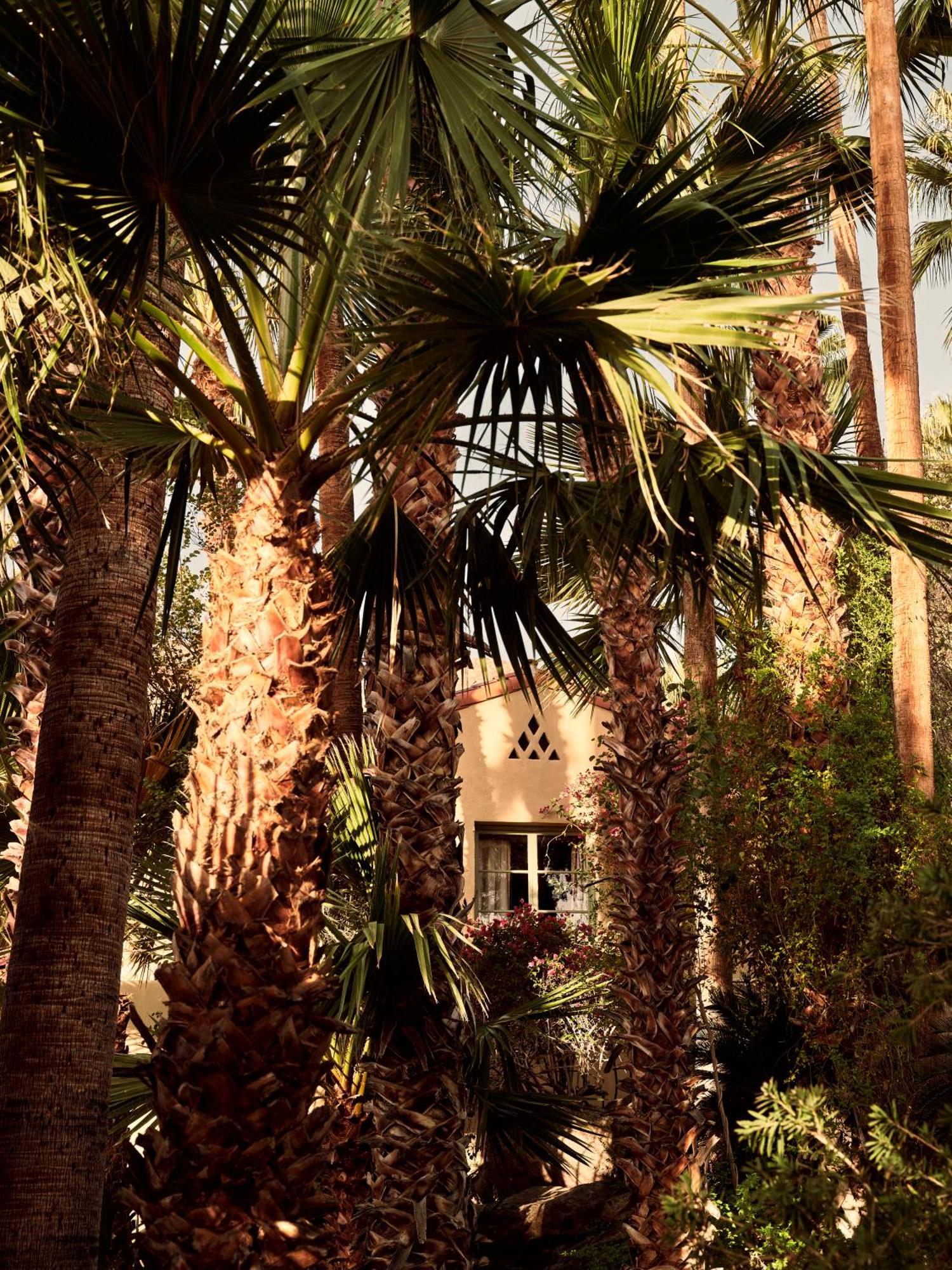 The Willows Palm Springs Exteriör bild